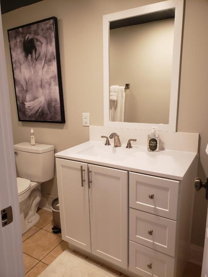Bright & Spacious Studio Close To Clt Airport 加斯托尼亚 外观 照片