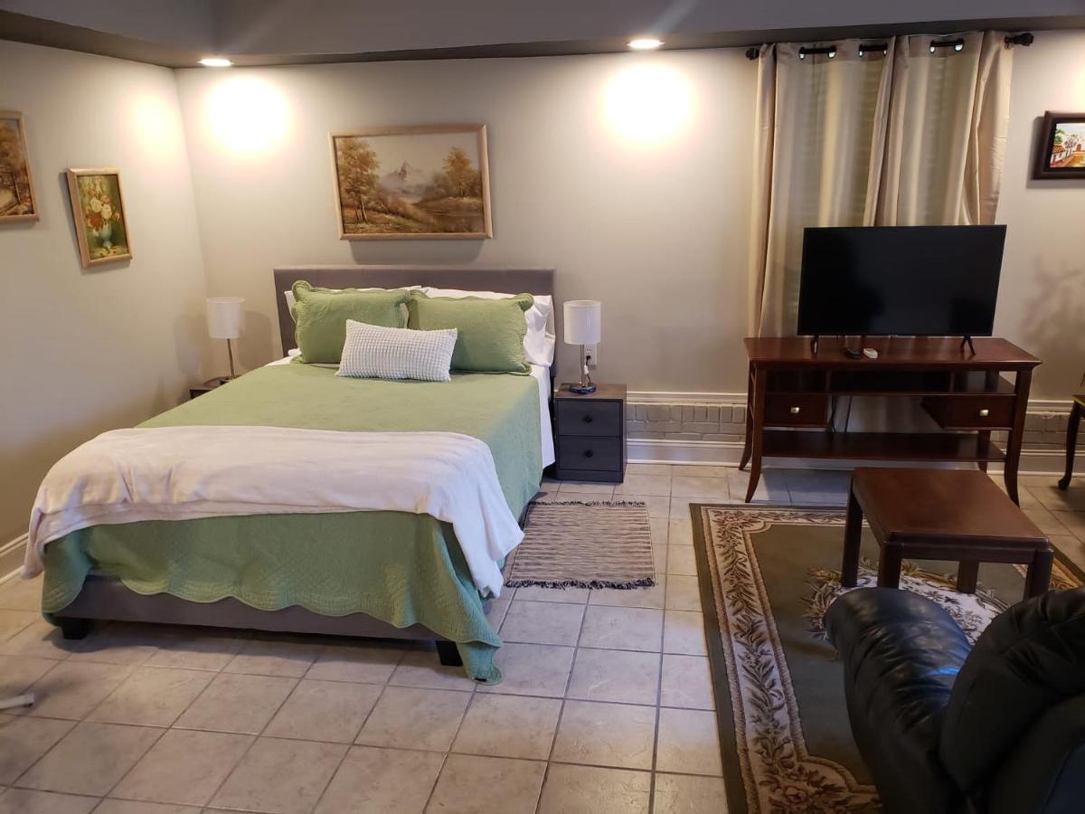 Bright & Spacious Studio Close To Clt Airport 加斯托尼亚 外观 照片